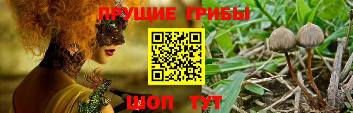 Галлюциногенные грибы Magic Shrooms  Вход с VPN  Каспийск 