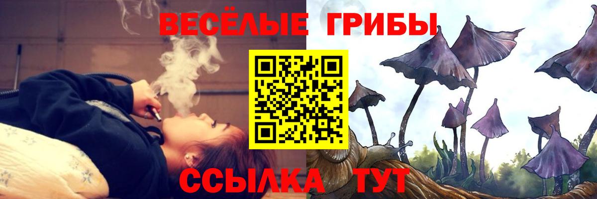 Псилоцибиновые грибы Psilocybine cubensis Каспийск